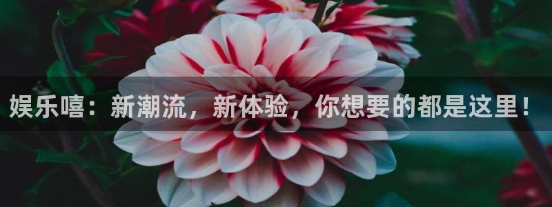 益达娱乐体育eon