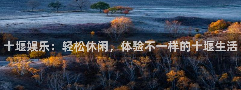 益达娱乐下载二维码：十堰娱乐：轻松休闲，体验不一样的十堰生活