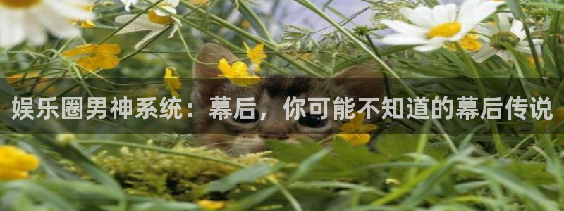 益达娱乐是正规平台吗：娱乐圈男神系统：幕后，你可能不知道的幕后传说