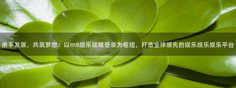 益达娱乐体育凯捷平台主管：携手发展，共筑梦想：以m8娱乐娱城登录为枢纽，打造全球
