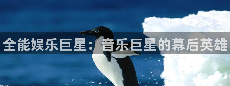 益达娱乐下载并安装：全能娱乐巨星：音乐巨星的幕后英雄