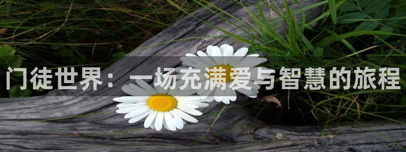 益达娱乐代理：门徒世界：一场充满爱与智慧的旅程