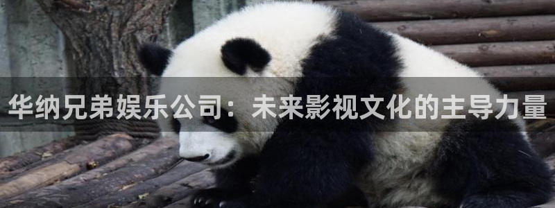 东莞市益达娱乐电子科技有限公司：华纳兄弟娱乐公司：未来影视文化的主导力量