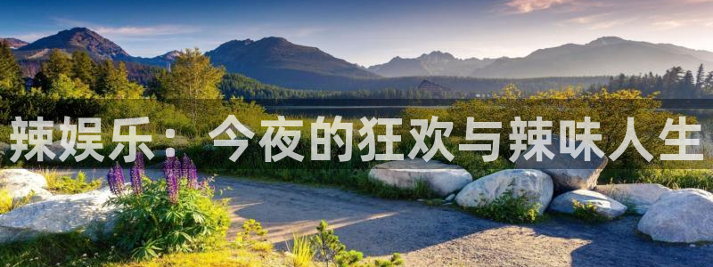 益达娱乐软件：辣娱乐：今夜的狂欢与辣味人生