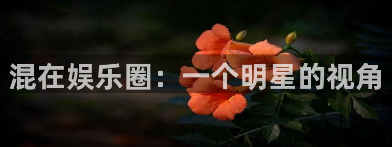 益达娱乐注册登录入口：混在娱乐圈：一个明星的视角
