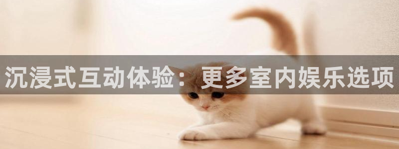 益达娱乐4登录：沉浸式互动体验：更多室内娱乐选项