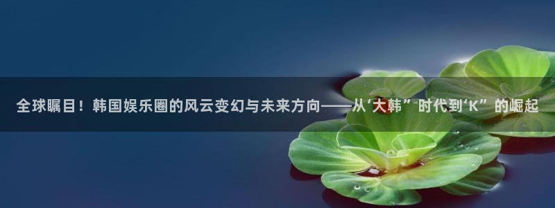 益达娱乐体育代理申请流程：全球瞩目！韩国娱乐圈的风云变幻与未来方向——从‘大韩”
