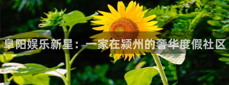益达娱乐5：阜阳娱乐新星：一家在颍州的奢华度假社区