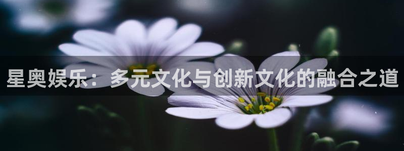 益达娱乐体育注册登录入口：星奥娱乐：多元文化与创新文化的融合之道