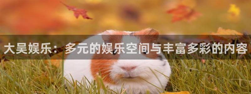 益达娱乐3登录：大吴娱乐：多元的娱乐空间与丰富多彩的内容