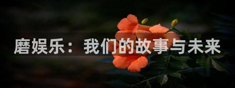 益达娱乐登陆：磨娱乐：我们的故事与未来