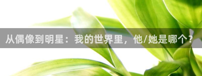益达娱乐体育和杏耀是哪个公司的：从偶像到明星：我的世界里，他/她是哪个？