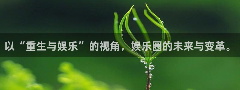 益达娱乐体育用品：以“重生与娱乐”的视角，娱乐圈的未来与变革。