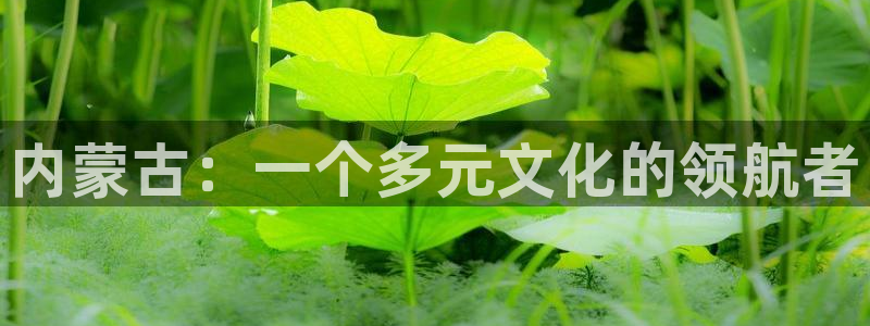 益达娱乐.ccmpc登录：内蒙古：一个多元文化的领航者