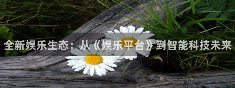 益达娱乐体育注册：全新娱乐生态：从《娱乐平台》到智能科技未来