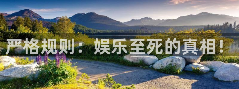 益达娱乐电子游戏网页版